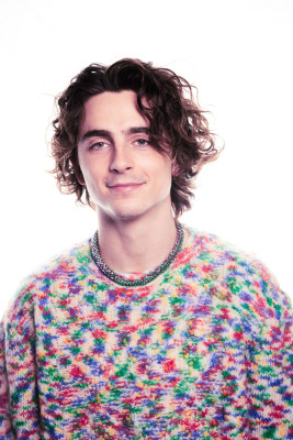 photo 11 in Timothee gallery [id1345525] 2024-03-09 00:00:00