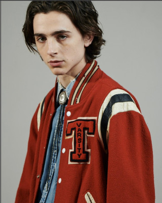Timothee Chalamet pic #1048521