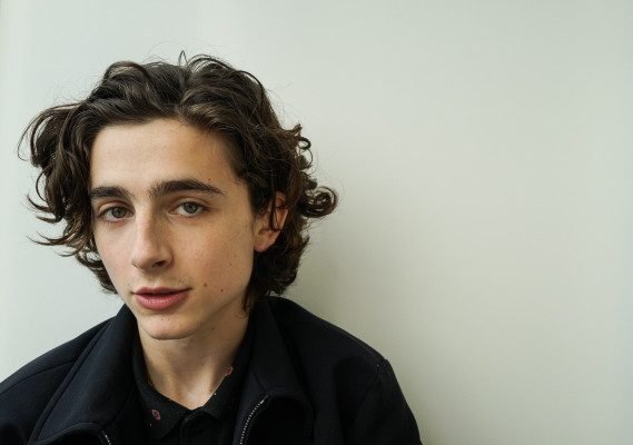 Timothee Chalamet pic #978035