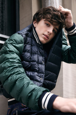 Timothee Chalamet pic #974696