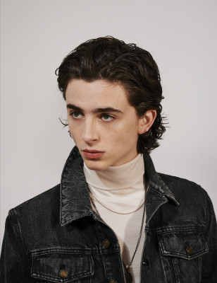 Timothee Chalamet pic #1024663