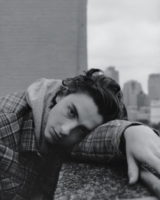 Timothee Chalamet pic #978024