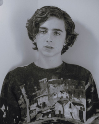 Timothee Chalamet pic #978023