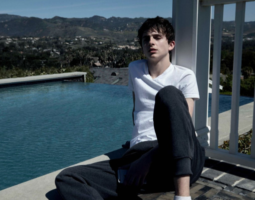 Timothee Chalamet pic #978027