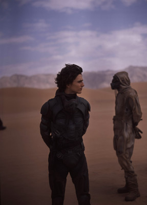 Timothee Chalamet pic #1274912