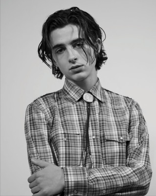 Timothee Chalamet pic #1024667