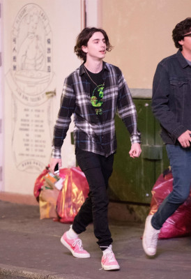 Timothee Chalamet pic #1048525