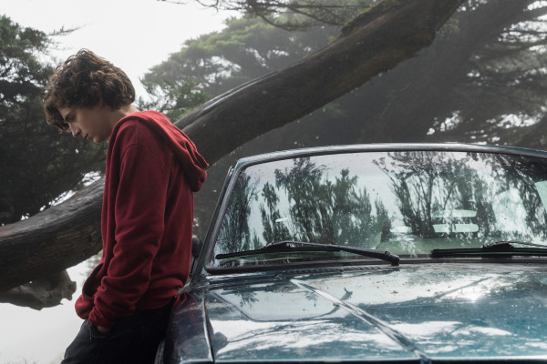 Timothee Chalamet pic #1274000