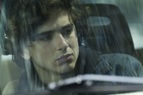 Timothee Chalamet pic #1273975
