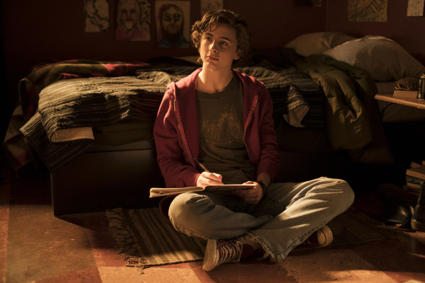 Timothee Chalamet pic #1273958