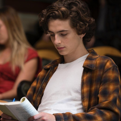 Timothee Chalamet pic #1273992