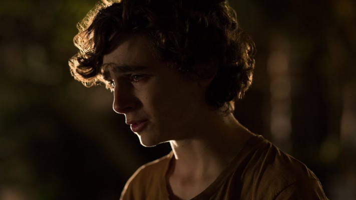 Timothee Chalamet pic #1273993
