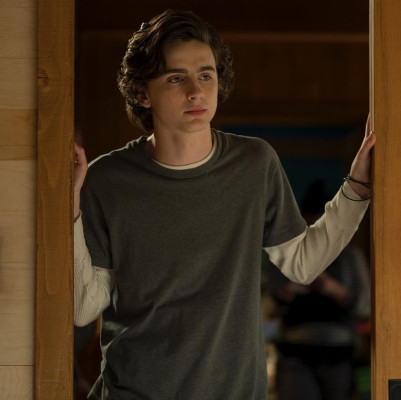 Timothee Chalamet pic #1273991