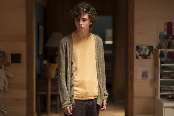Timothee Chalamet pic #1273971