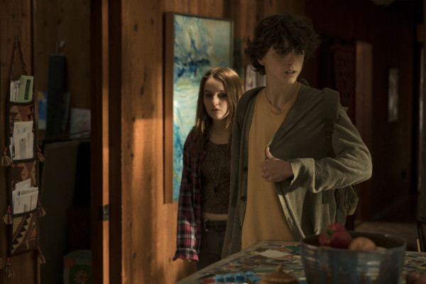Timothee Chalamet pic #1274006