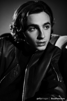 Timothee Chalamet pic #975195