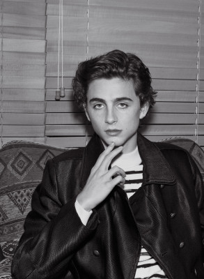 Timothee Chalamet pic #975200