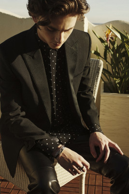 Timothee Chalamet pic #1123305