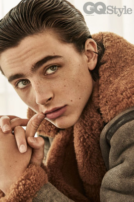 photo 17 in Chalamet gallery [id975193] 2017-10-29 00:00:00