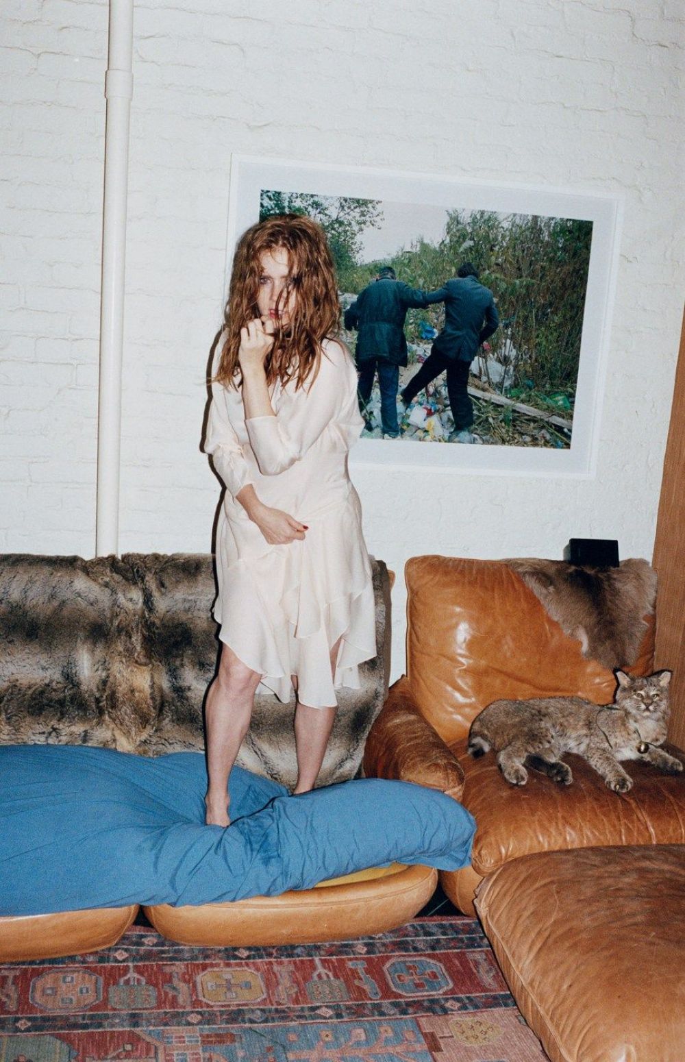 Amy Adams, photo #725616