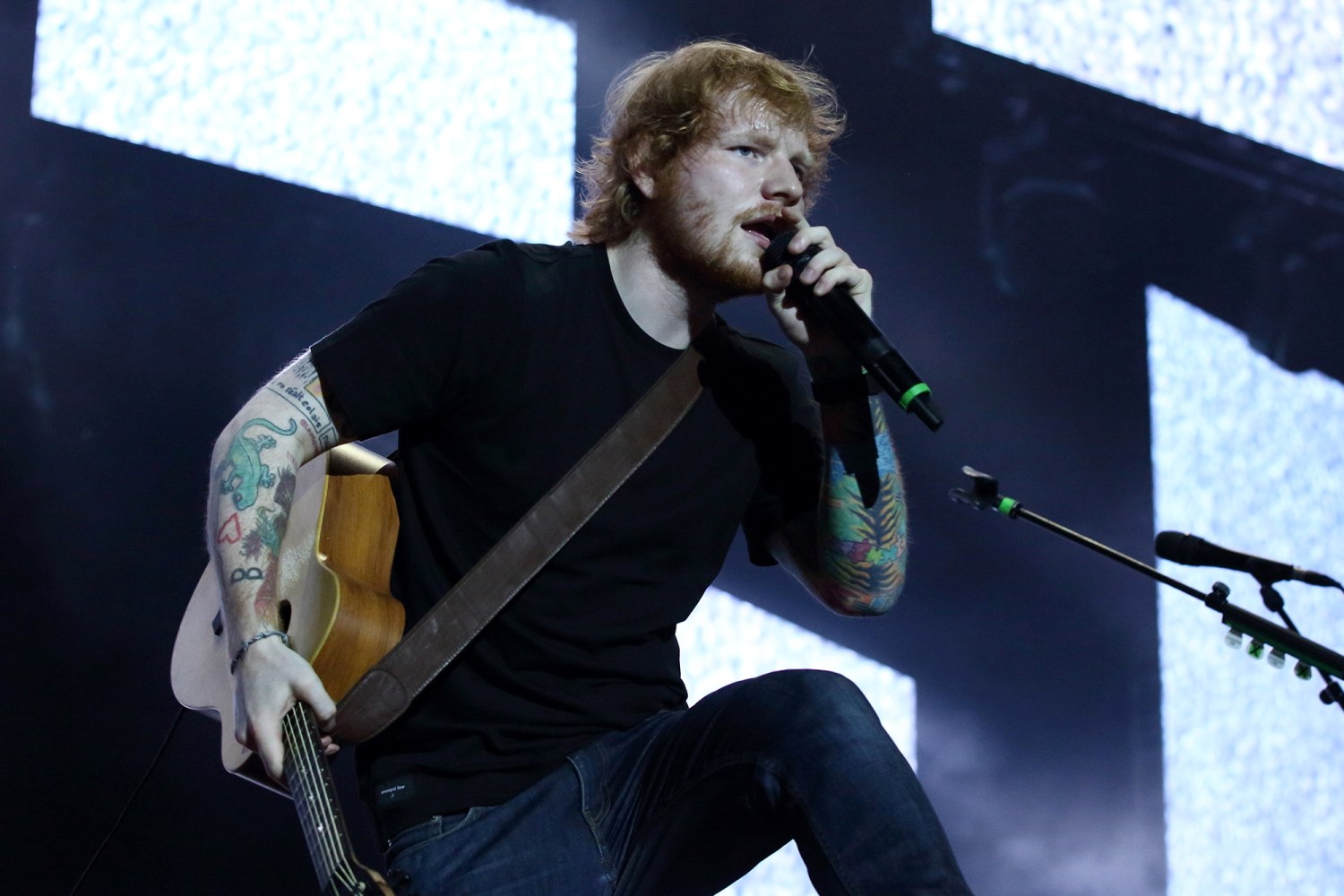 Ed Sheeran, photo #1030020