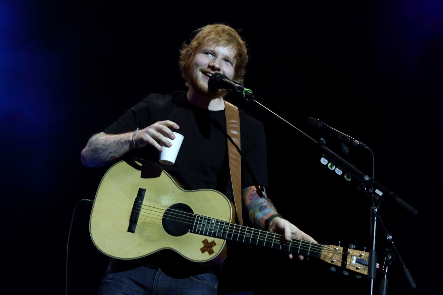 Ed Sheeran, photo #1030027