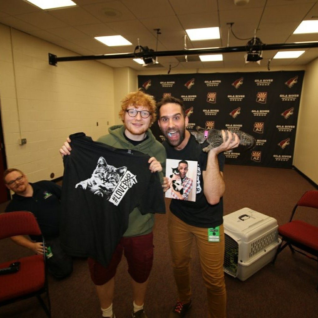Ed Sheeran, photo #987232