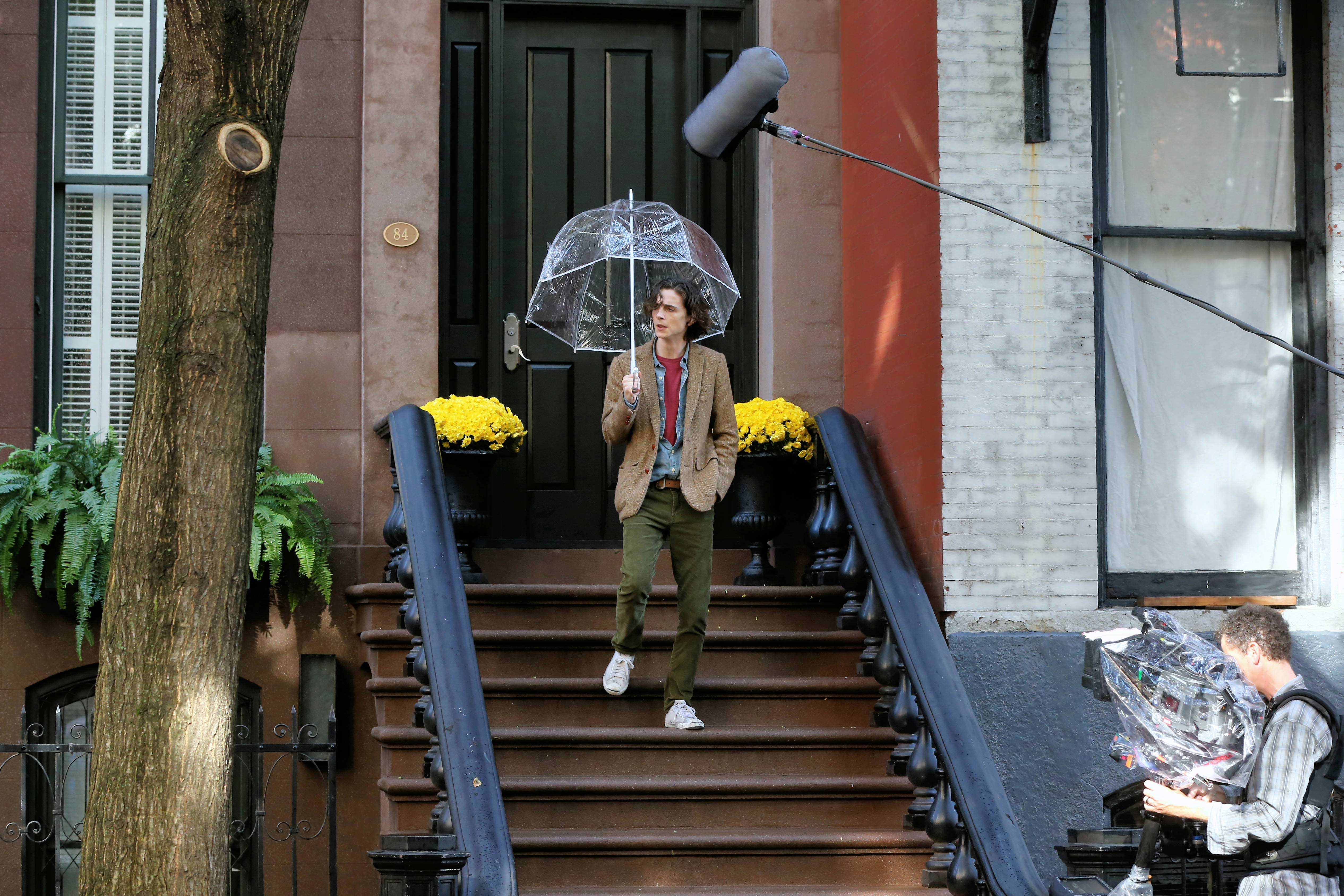 Timothee Chalamet, photo #975197